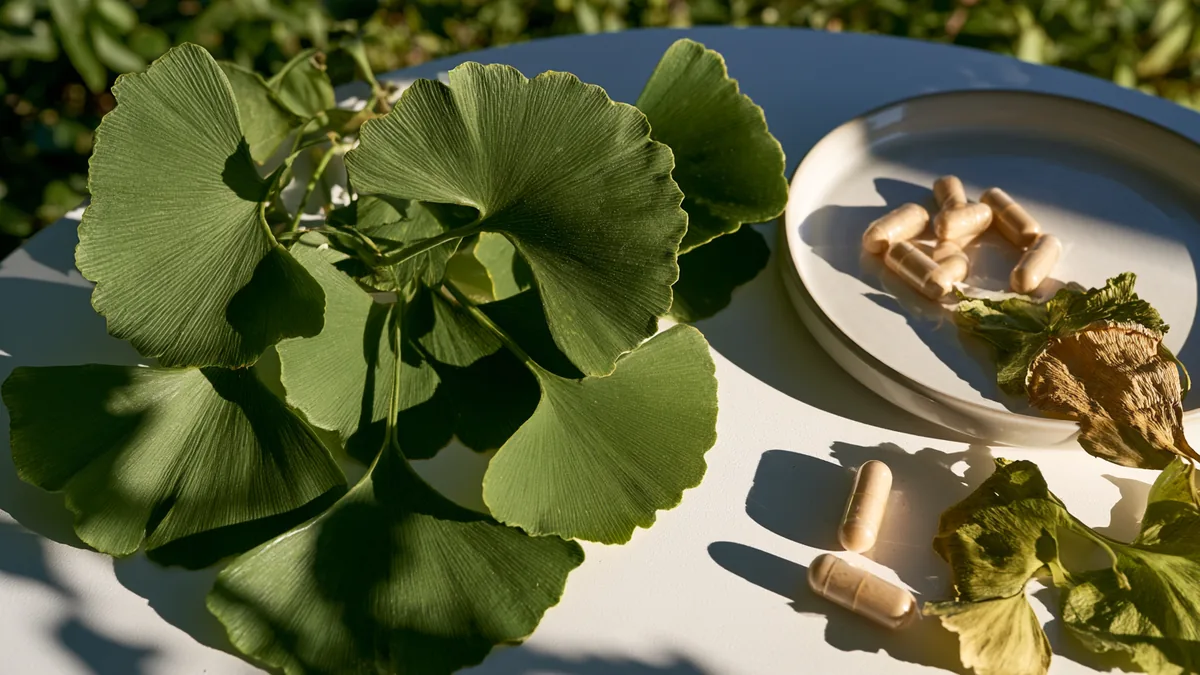 Feuilles de ginkgo biloba en éventail posées sur une surface blanche à côté de gélules